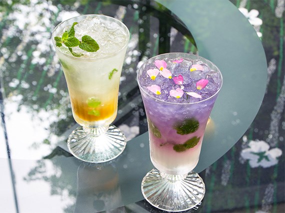 うめスカッシュ　紫陽花　ゆずスカッシュ　ホテル　大阪　ラウンジ